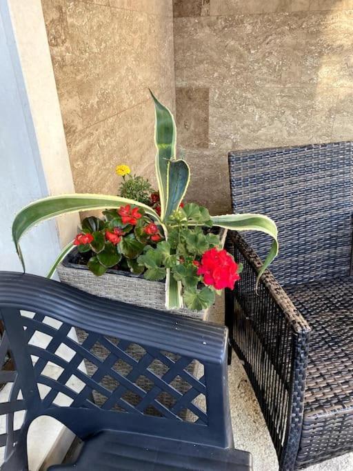 Casa Del Sole - Beautiful Studio In Varna Bulgaria Apartment Екстериор снимка